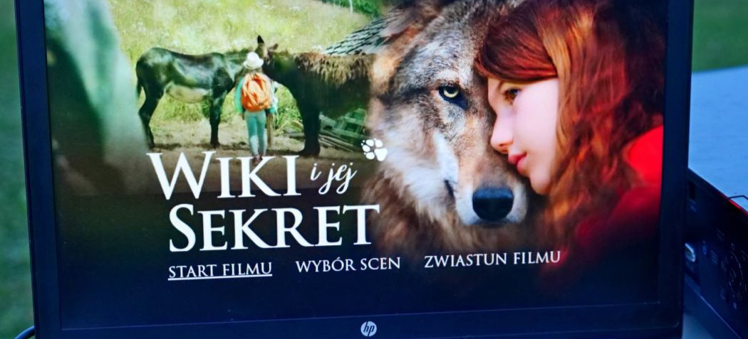 Wieczór z kinem plenerowym w Srogowie Dolnym [ZDJĘCIA]