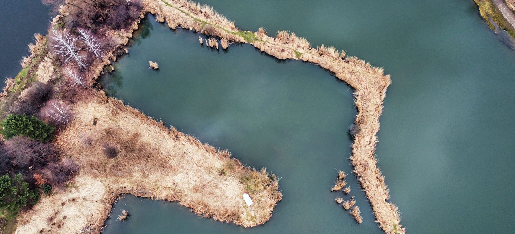 SANOK: „Sosenki” zostają w rękach wędkarzy. PZW Krosno wygrywa przetarg na dzierżawę stawów