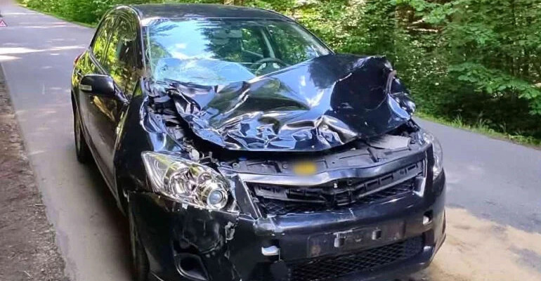 MRZYGŁÓD. Toyota zderzyła się z jeleniem. Uważajmy na dzikie zwierzęta na drodze!