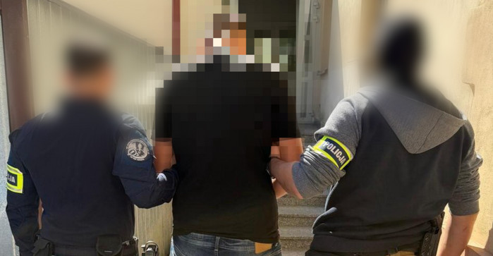 Miał przewozić 11 migrantów. Zatrzymali go rzeszowscy policjanci