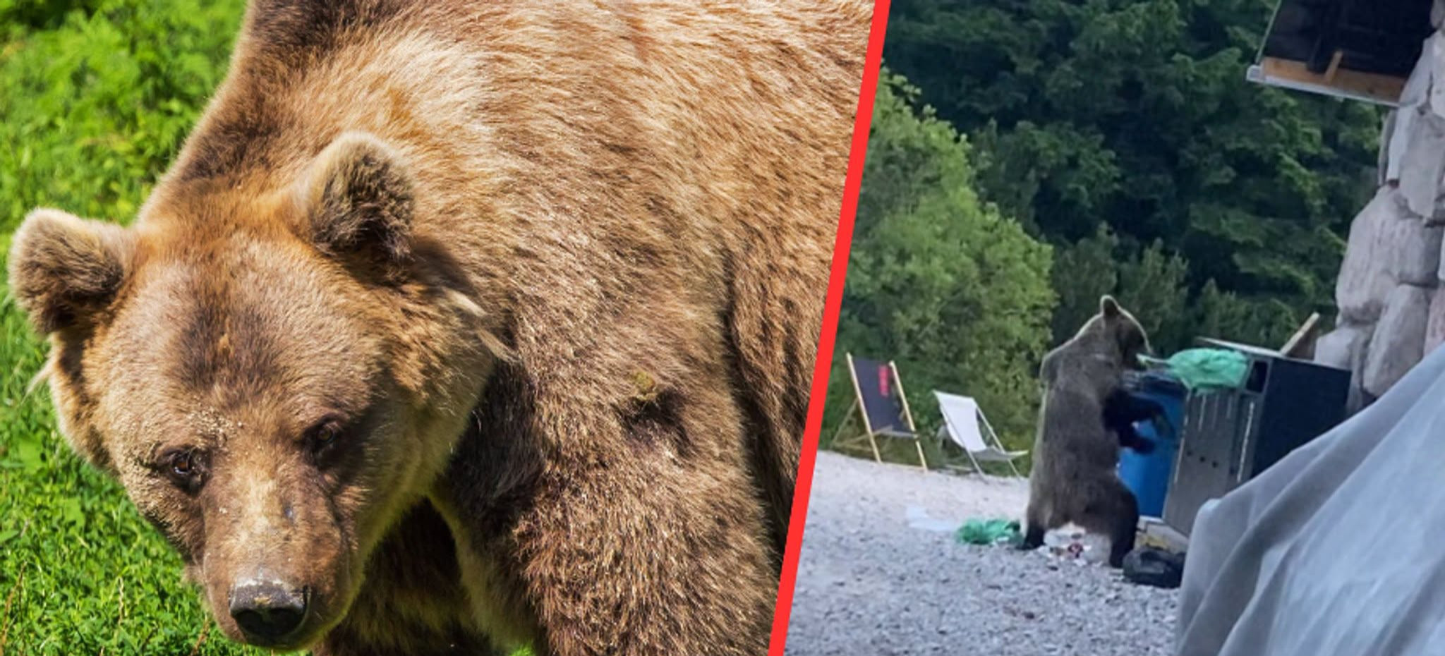 BIESZCZADY: Pilny komunikat straży rybackiej! Ważne zmiany dla wędkarzy i turystów