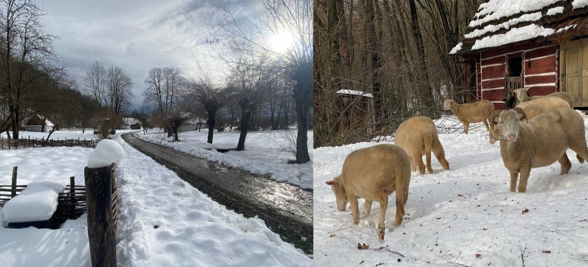 Sanocki skansen ponownie otwarty. Niektóre ścieżki nie do przejścia [ZDJĘCIA]