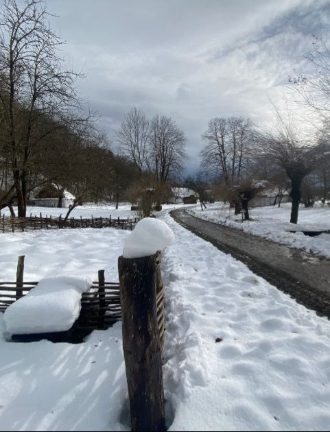 Sanocki skansen ponownie otwarty. Niektóre ścieżki nie do przejścia [ZDJĘCIA]