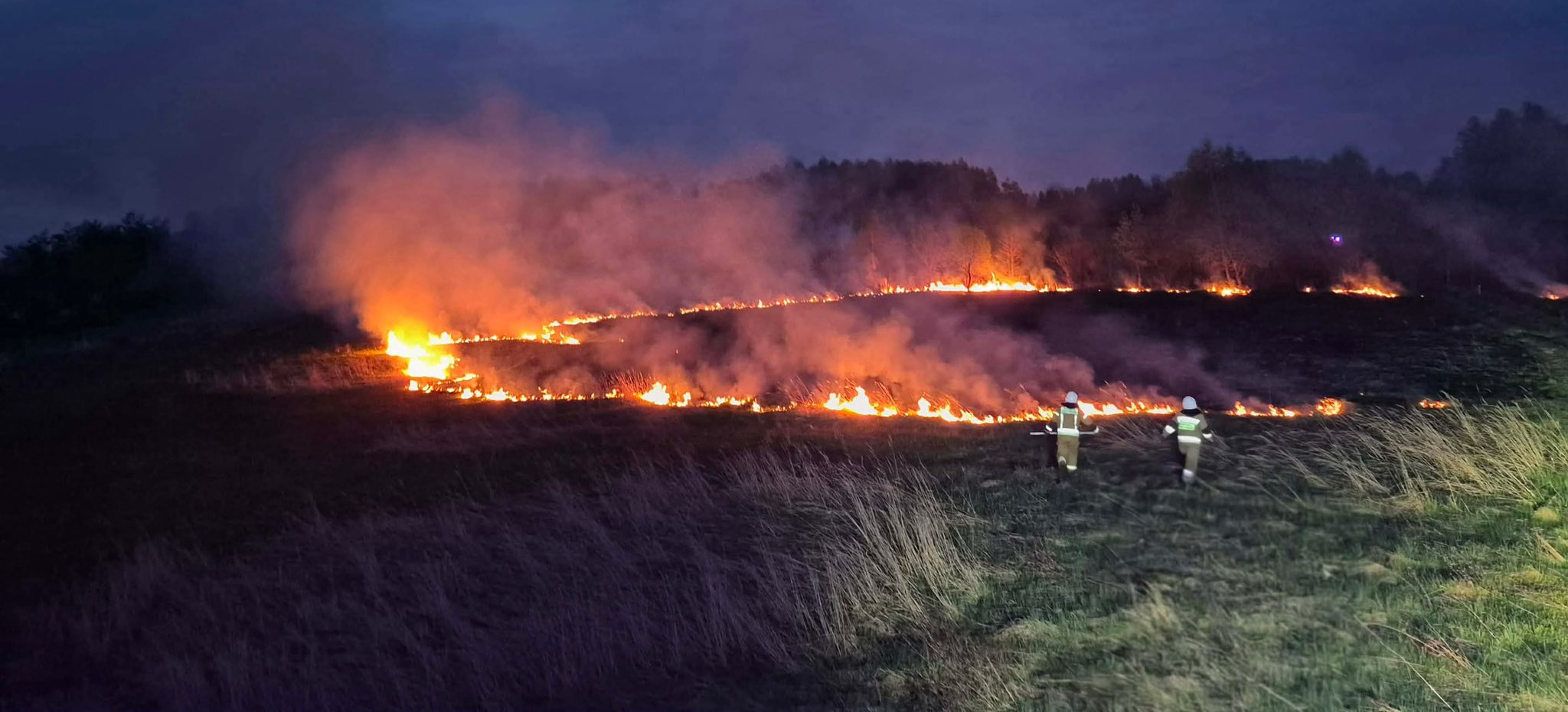 Nocna akcja strażaków w Krzemiennej. Płonęły nieużytki rolne [ZDJĘCIA]
