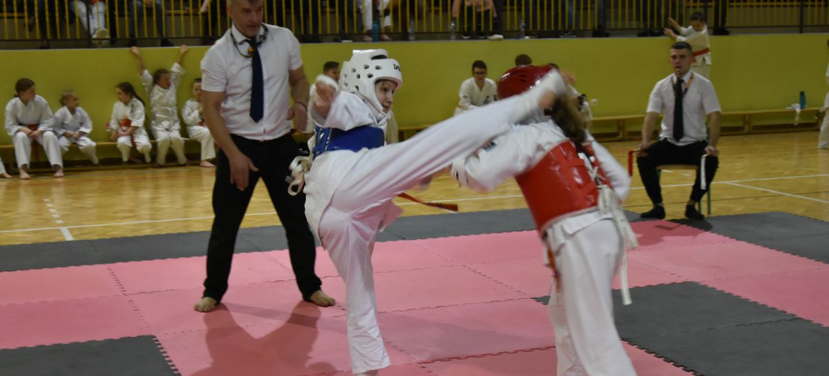 Mikołajkowy Turniej Karate w Niebieszczanach (ZDJĘCIA)