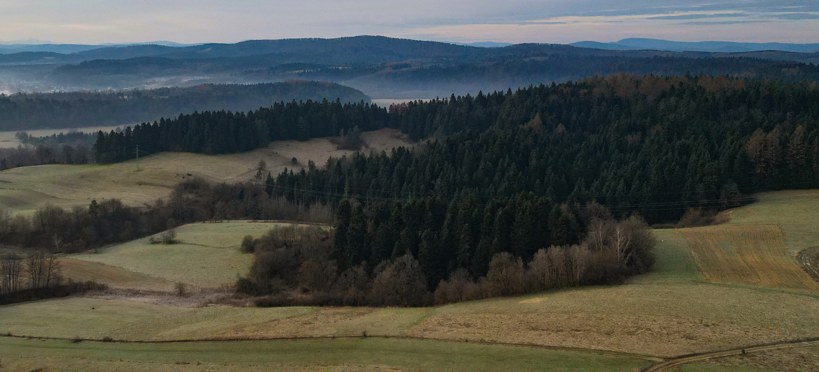 BALIGRÓD: Tajemnicze znalezisko w lesie. Co skrywała bieszczadzka ziemia?