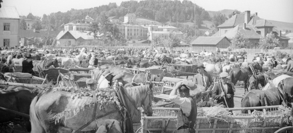 Sanok na archiwalnych fotografiach. Zaglądamy w przeszłość [ZDJĘCIA]