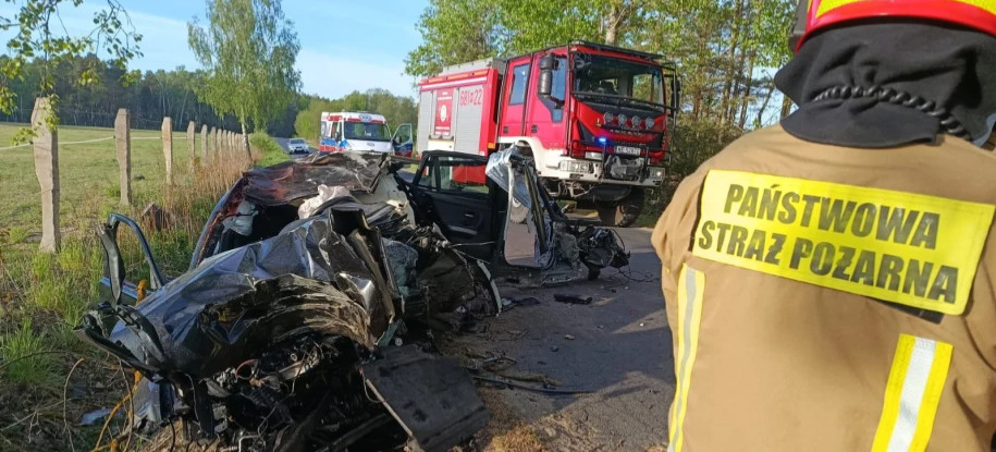 Uwaga na dzikie zwierzęta! Rosnące zagrożenie na polskich drogach