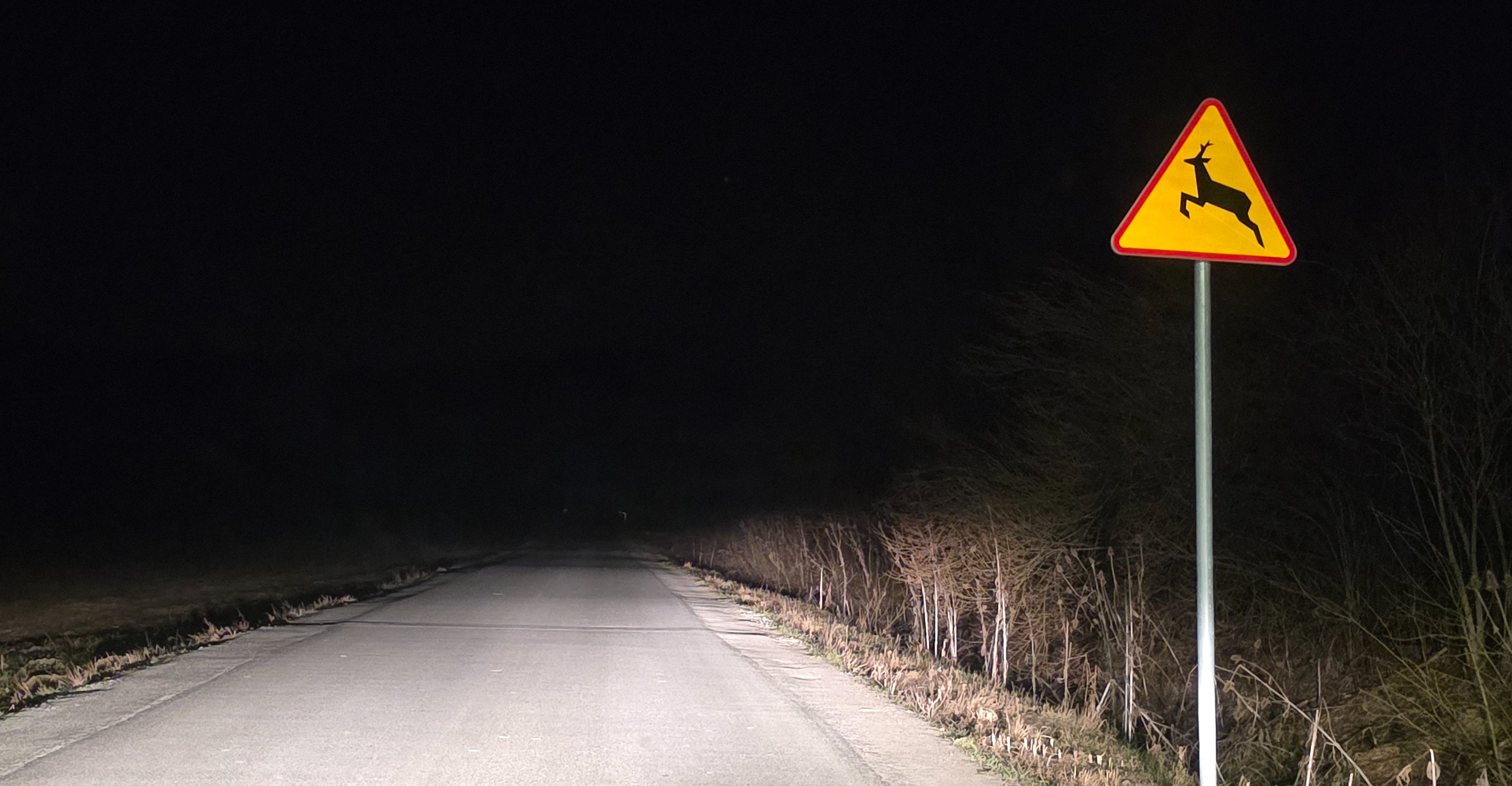 Uwaga kierowcy! Plaga zdarzeń z dziką zwierzyną w powiecie sanockim. Policja apeluje o rozwagę