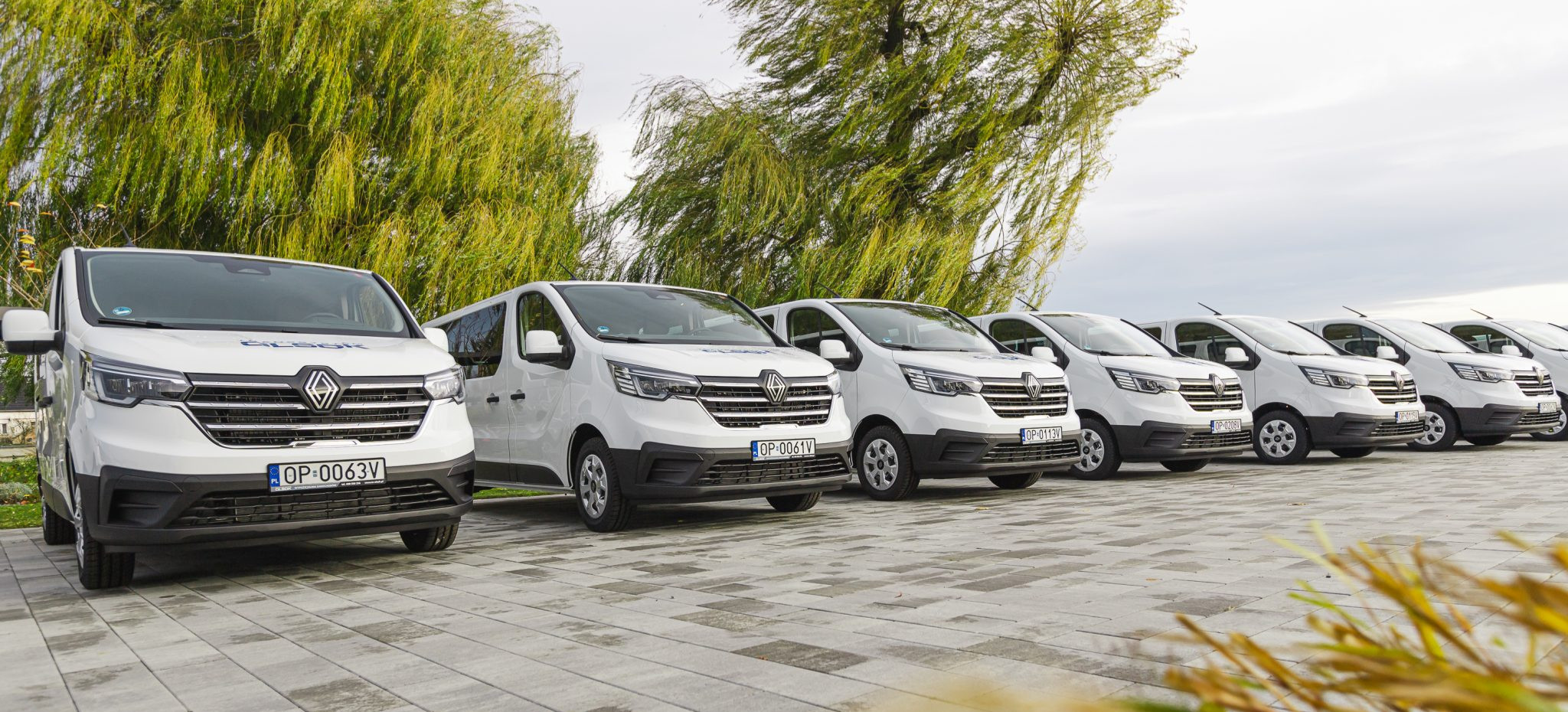 Przewozy do Belgii, Niemiec i Holandii – rusz w drogę z TS Olsok!