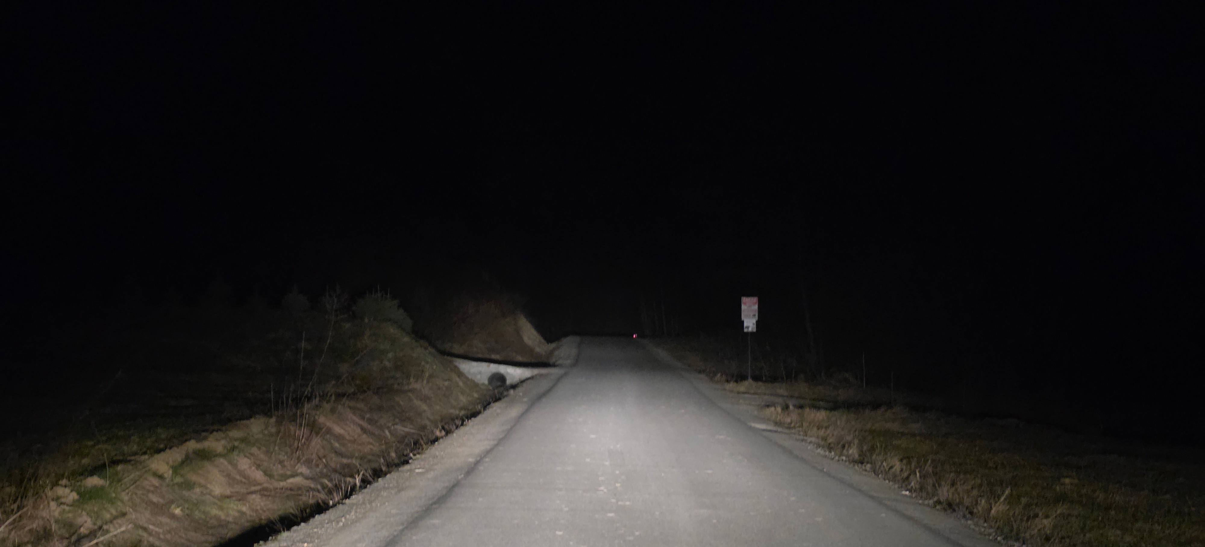 PILNE: Niedźwiedzie przy domku myśliwskim w Prusieku. Apel o zachowanie ostrożności!