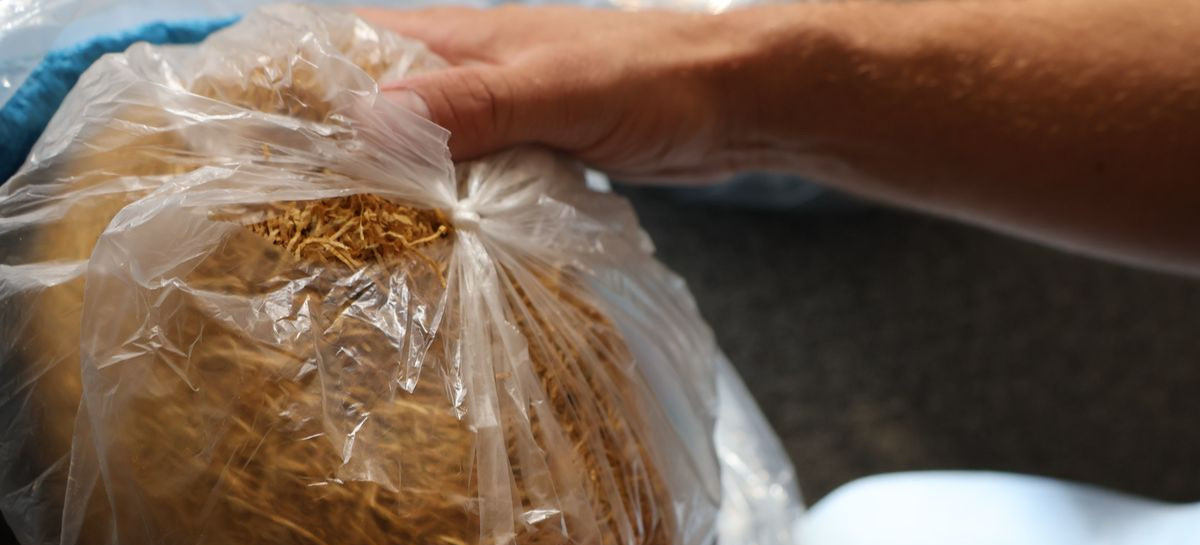 Blisko 55 kg krajanki tytoniowej bez polskich znaków skarbowych akcyzy