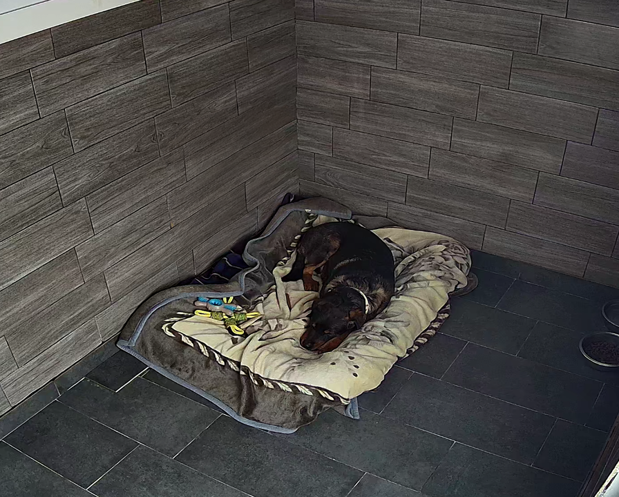 621857772_685314984575232_3987302621423844391_n