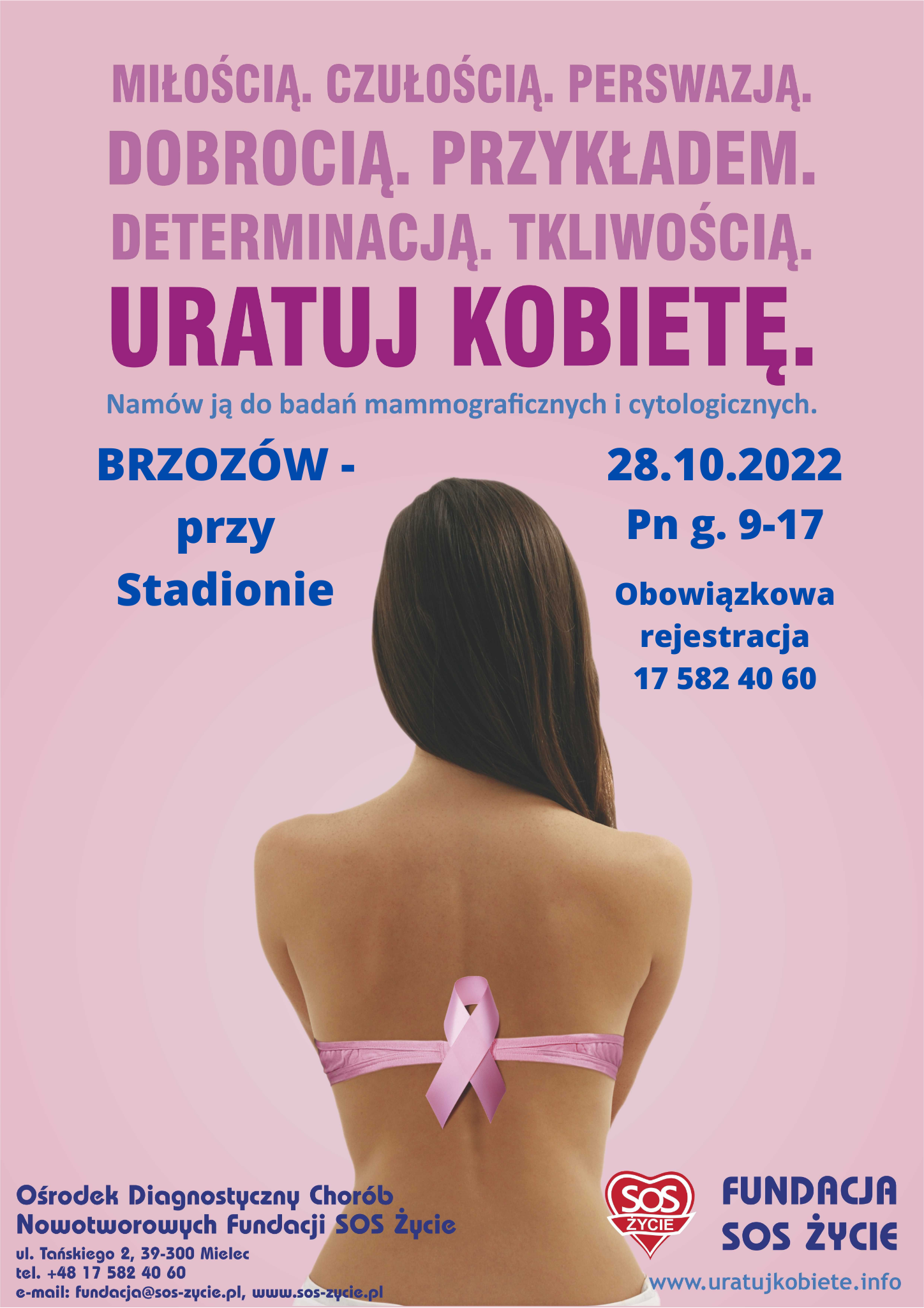 Plakat-różowy-Brzozów