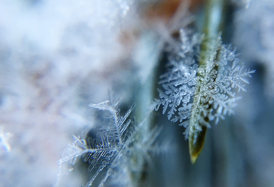 frost-1209402_960_720_1