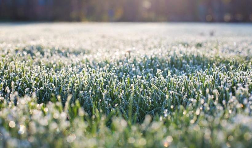 frost-on-grass-1358926_1280